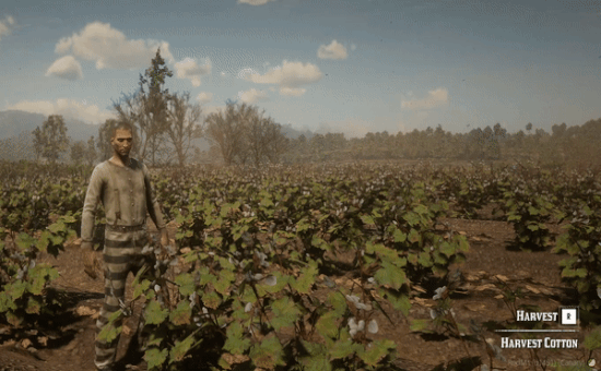 skills_herbharvesting.gif skills_herbharvesting.gif